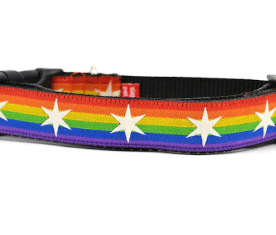 dog rainbow collar
