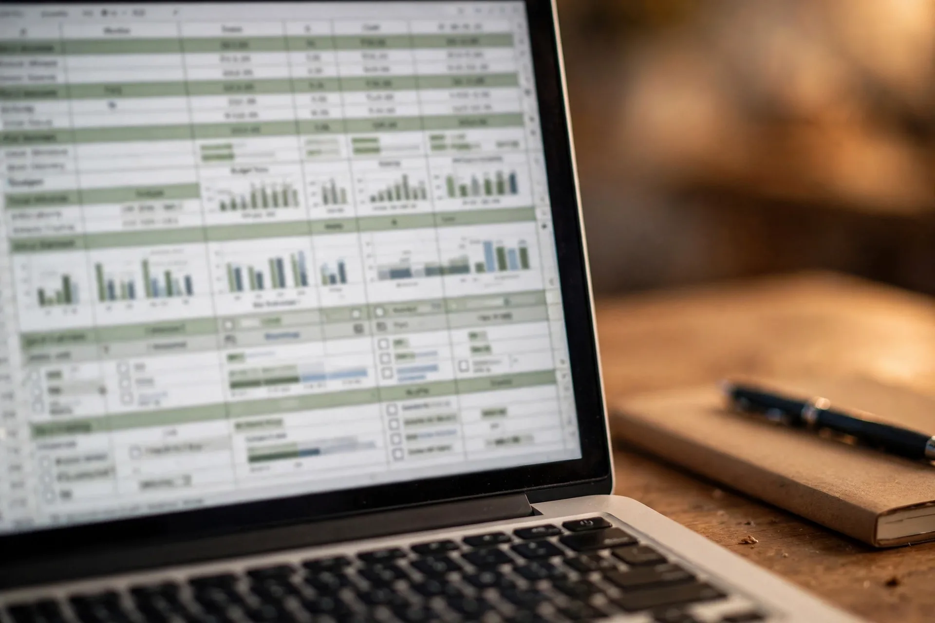 Close-up of a monthly budget spreadsheet with income and expense categories on a laptop screen